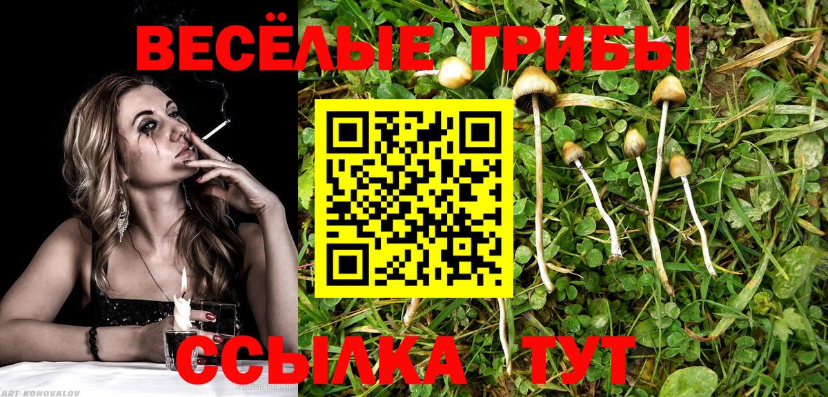 Галлюциногенные грибы MAGIC MUSHROOMS Зеленогорск